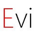 Ｅｖｉｓｉｏｎ（エビジョン）